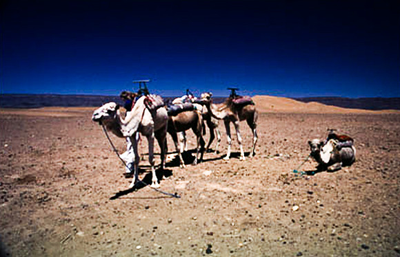 3194_SL_COLOR_TAMGROUTE_DUNES_MAROCCO_II_1998_13