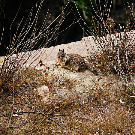 2366_FM_COLOR_CARMEL_CA_02_10.jpg