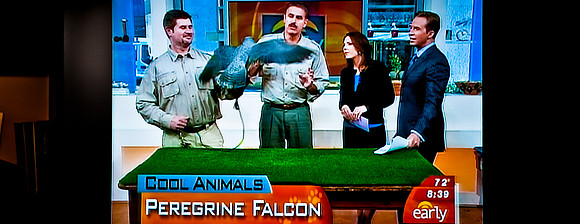 2602_Ron_Magill_TV_Show_Miami-0996