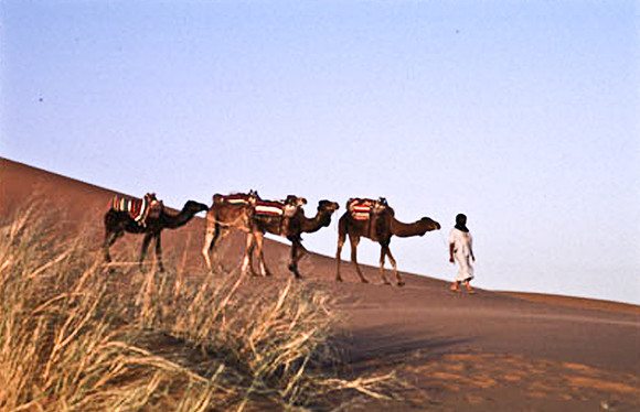 3208_SL_COLOR_MERZOUGA_SHAHARA_MAROCCO_II_1998_3