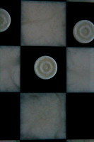 3014_DG_Icon_Brickell_Related_Miami_FL_20090510_A0M9443