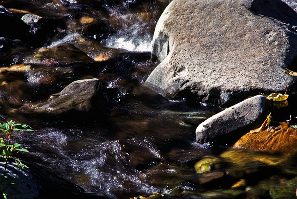 47686_B12_SL_COLOR_FLAGSTAFF TO SEDONA_AZ_97_09.jpg