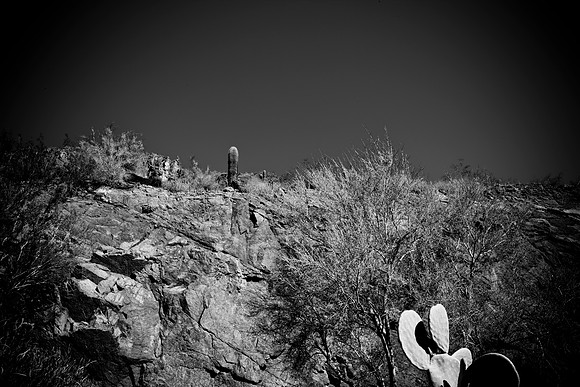 0031_La_Arizona_5L8Y5223