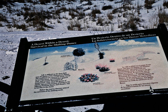 47894_B16_SL_COLOR_LA_MESILLA0_TO_WHITE_SOUNDS_NAT_MNY_HWY20_NM_97_0643.jpg