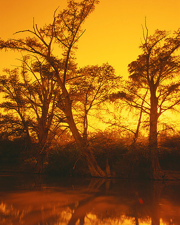 4000_20080719_ADS_Mexican_Landscape_Mexico_007