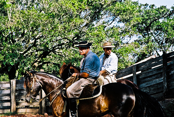 2624_FM_COLOR_35MM_PORTO_ALEGRE_BRAZIL_2004_22