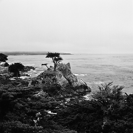 2367_FM_BW_CARMEL_CA_02.jpg