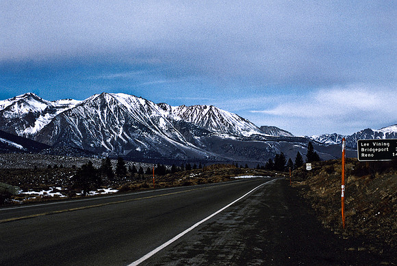 47943_B17_SL_COLOR_MAMOTA_YOSEMITE_CA_97_19.jpg