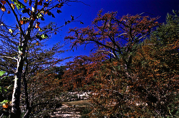 47911_B16_SL_COLOR_RTE39_TO_SAN_ANTONIO_TX_97_07.jpg