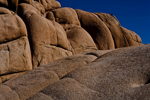 06646_DG_COLOR_JOSHUA_TREE_NAT_PARK_29_PALMS_CALIFORNIA_CA_USA_2007_ZV4N_470