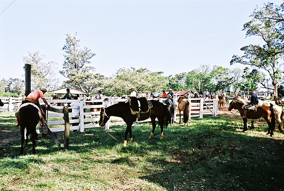 2624_FM_COLOR_35MM_PORTO_ALEGRE_BRAZIL_2004_14