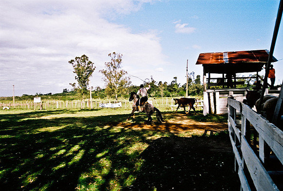 2624_FM_COLOR_35MM_PORTO_ALEGRE_BRAZIL_2004_2