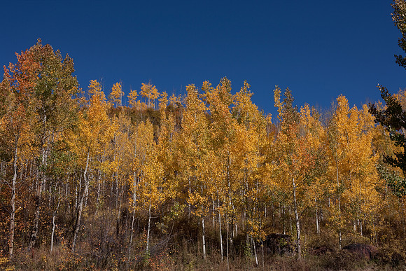 20080828_DVD9_DG_From_Glenwood_Spring_to_Aspen_CO_1977_full_blead