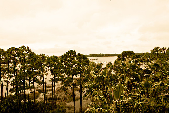 0040_PANAMA_BEACH_TO_DAYTONA_MIAMI_0040_DG_Panama_City_Beach_Florida_USA_20095L8Y1371_2