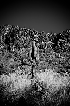 0031_La_Arizona_5L8Y5448