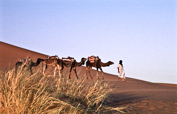 3208_SL_COLOR_MERZOUGA_SHAHARA_MAROCCO_II_1998_4