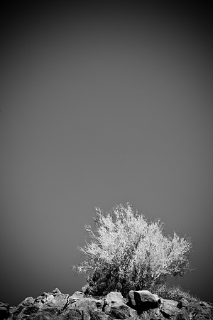 0031_La_Arizona_5L8Y5332