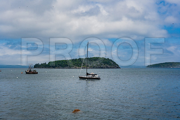 20060628_Maine_ZV4N1070