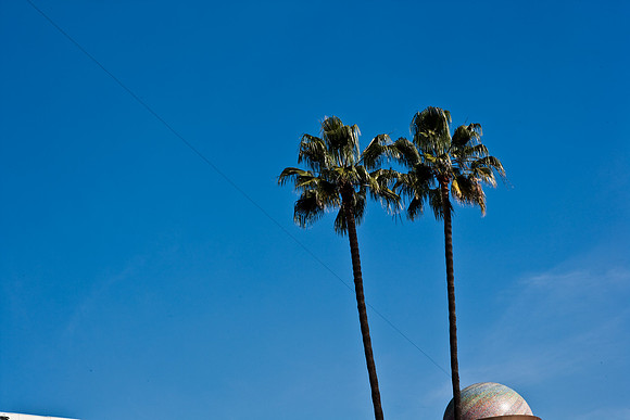 06626_DG_CALIFORNIA_USA_2007_ZV4N_8441