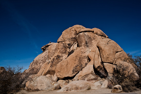 06646_DG_COLOR_JOSHUA_TREE_NAT_PARK_29_PALMS_CALIFORNIA_CA_USA_2007_ZV4N_435