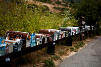 36361_DG_COLOR_HWY_1_AFTER_NICKS_COVE_CALIFORNIA_CA_USA_2007_ZV4N_3740