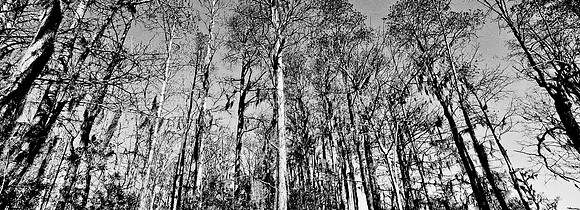 7749_FL_BW_LOUISIANA_01_18.jpg
