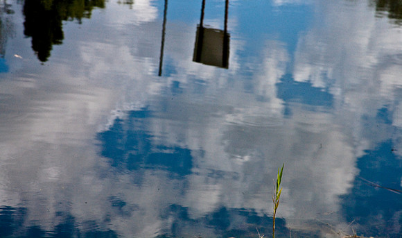 2527_EVERGLADES_MIAMI_FLORIDA_AOM_20090315__A0M1176