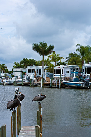 84681_ZV4N_8021_FL_USA_2008