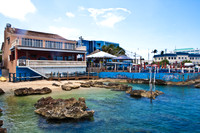 3876_DG_Cayman_Island_Caribbean_ZV4N0251