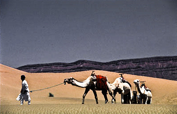3193_SL_COLOR_TAMGROUTE_DUNES_MAROCCO_II_1998_17