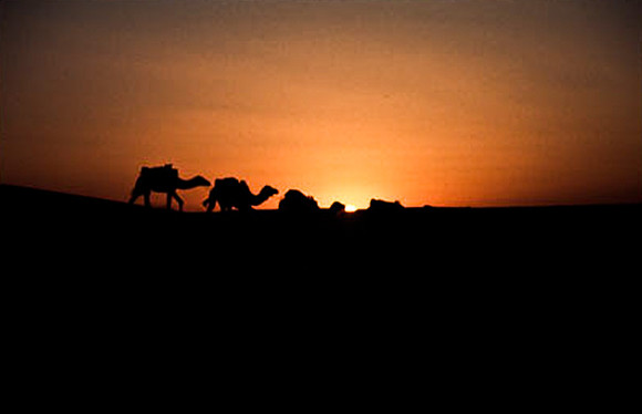3206_SL_COLOR_MERZOUGA_SHAHARA_MAROCCO_II_1998_18