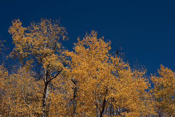 20080828_DVD9_DG_From_Glenwood_Spring_to_Aspen_CO_1990_full_blead