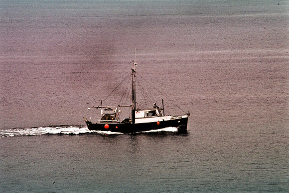 2547_SL_BOX_I_COLOR_OVKA_VICTORIA_CANADA_17