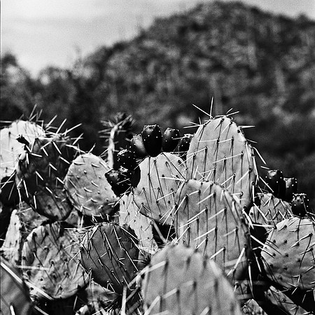 6021_FM_BW_GRAND_CANYON_AZ_05_8.jpg