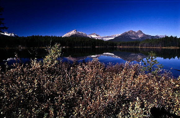 06832_B19_SL_COLOR_PEYTO_LAKE_FROM_THE_BOW_SUMMIT_TRAIL_BANFF_NAT_PARK_BC_WS_97_11.jpg
