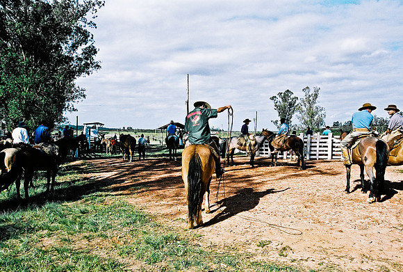 2624_FM_COLOR_35MM_PORTO_ALEGRE_BRAZIL_2004_18