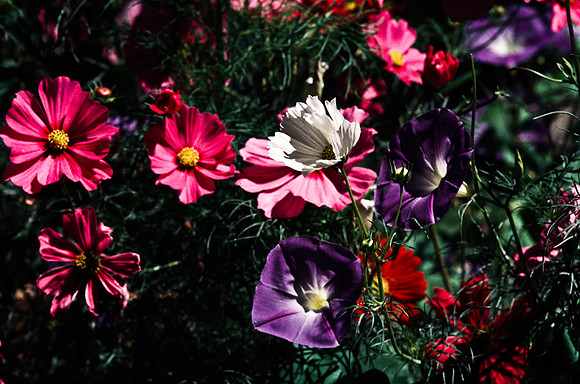 47774_B13_SL_COLOR_SANTA_FE_NEW MEXICO_97_6.jpg