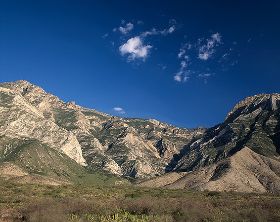 4000_20080719_ADS_Mexican_Landscape_Mexico_208