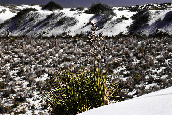 47897_B16_SL_COLOR_SANDS_NAT_MNT_TO_TREE-RIVER_FROM_HWY70_TO_HWY54N_NM_97_0101.jpg