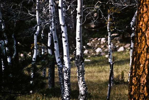 47426_B5_SL_COLOR_HOT_SULPHUR_HWY40_COLORADO_WYOMING_9701.jpg