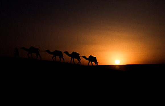 3203_SL_COLOR_MERZOUGA_SHAHARA_MAROCCO_II_1998_10