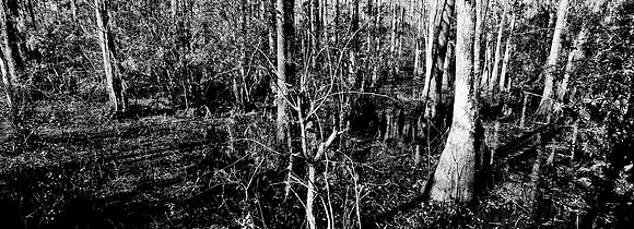 7749_FL_BW_LOUISIANA_01_7.jpg