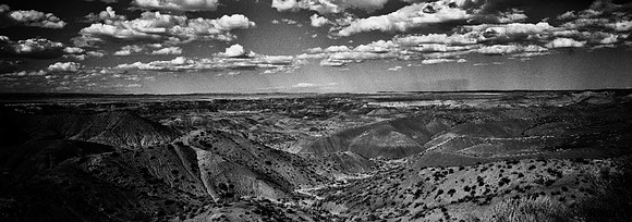 6139_COLOR_SQ_PAINTED_DESERT_AZ_USA_05_11.jpg