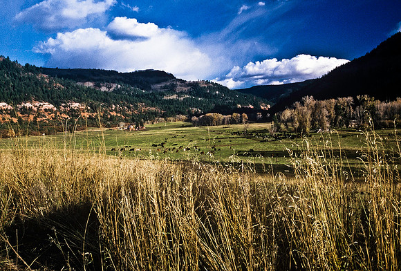 47477_B5_SL_COLOR_SAN_JUAN_NAT_FORREST_TO_TELLURIDE_TO_DOLORES_HWY195_COLORADO_WY_97_04.jpg