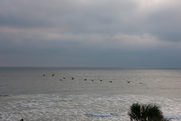 0040_PANAMA_BEACH_TO_DAYTONA_MIAMI_5L8Y1518