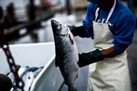 06588_ZV4N_3673_DG_COLOR_BODEGA_BAY_CALIFORNIA_CA_2007_USA