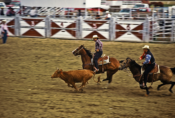 47490_B6_SL_COLOR_TRINIDAD_RODEO_CO_97_17.jpg
