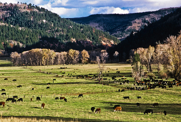 47477_B5_SL_COLOR_SAN_JUAN_NAT_FORREST_TO_TELLURIDE_TO_DOLORES_HWY195_COLORADO_WY_97_06.jpg