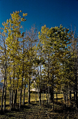 6087_FM_COLOR_ASPEN_TO_INDEPENDENT_CO_05.jpg