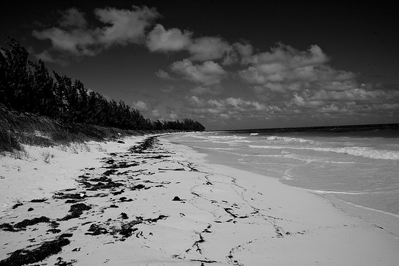 36168_DG_Color_USA_Harbour_Island_Bahamas_Related_GroupZV4N2079